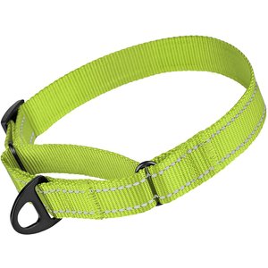 CollarDirect Reflective Martingale Nylon Dog Collar, Lime Green, Medium