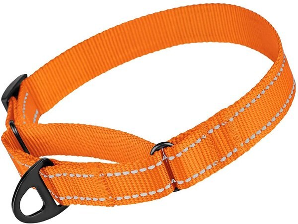 CollarDirect Reflective Martingale Nylon Dog Collar, Orange, Medium slide 1 of 6