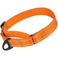 CollarDirect Reflective Martingale Nylon Dog Collar, Orange, Medium