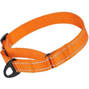 CollarDirect Reflective Martingale Nylon Dog Collar, Orange, Medium