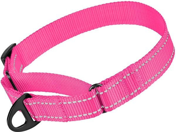 CollarDirect Reflective Martingale Nylon Dog Collar, Pink, Small slide 1 of 6