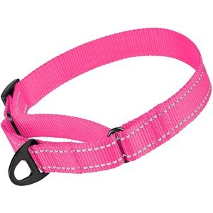 CollarDirect Reflective Martingale Nylon Dog Collar, Pink, Small