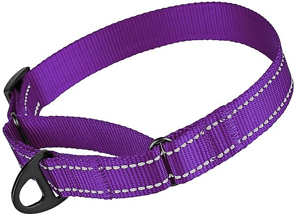 CollarDirect Reflective Martingale Nylon Dog Collar, Purple, Small slide 1 of 6
