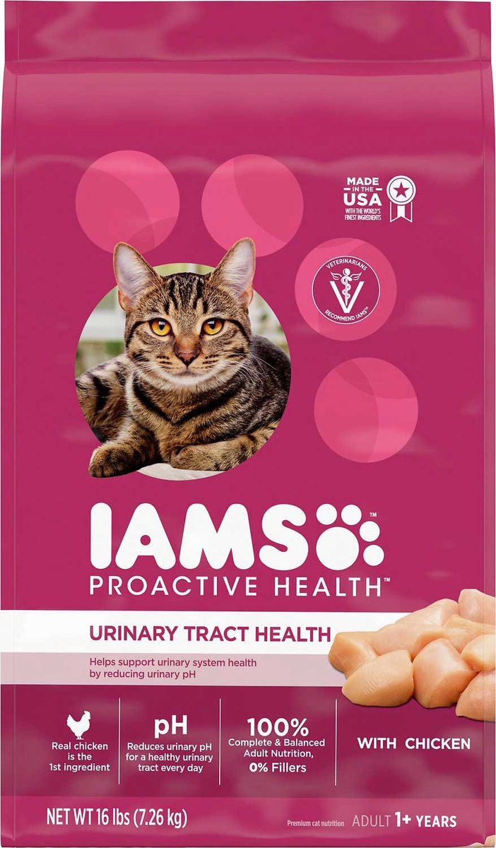 Iams cat outlet food oral care