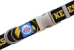 Littlearth NCAA Premium Dog & Cat Collar, Iowa Hawkeyes, Small