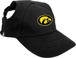 Littlearth NCAA Dog & Cat Baseball Hat, Iowa Hawkeyes, Small