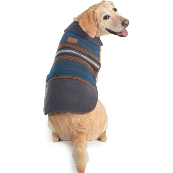 chewy pendleton dog coat