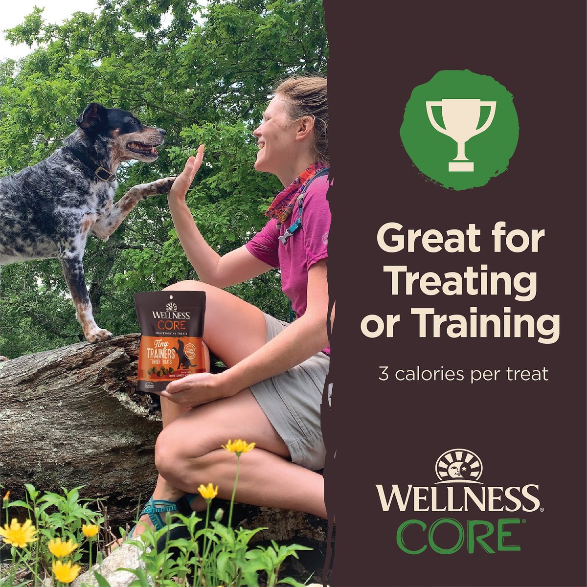 Wellness core treats sale