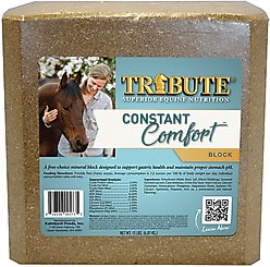 Tribute Equine Nutrition Constant Comfort Gastric Health Horse Supplement, 15-lbs block