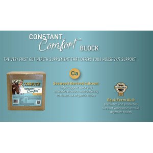 Constant Comfort® Gut Health Supplement Block