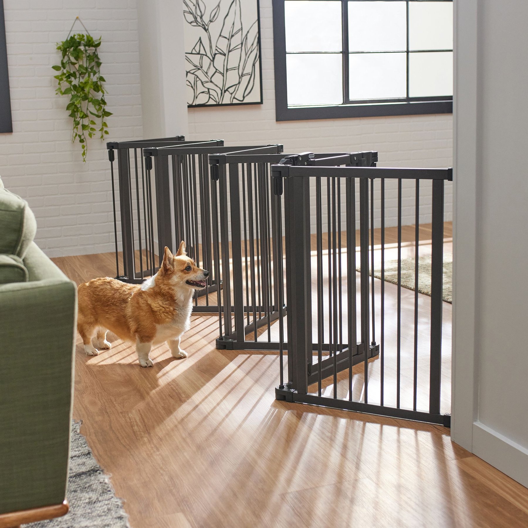 FRISCO Wood and Metal 8 Panel Configurable Gate and Playpen Espresso Chewy