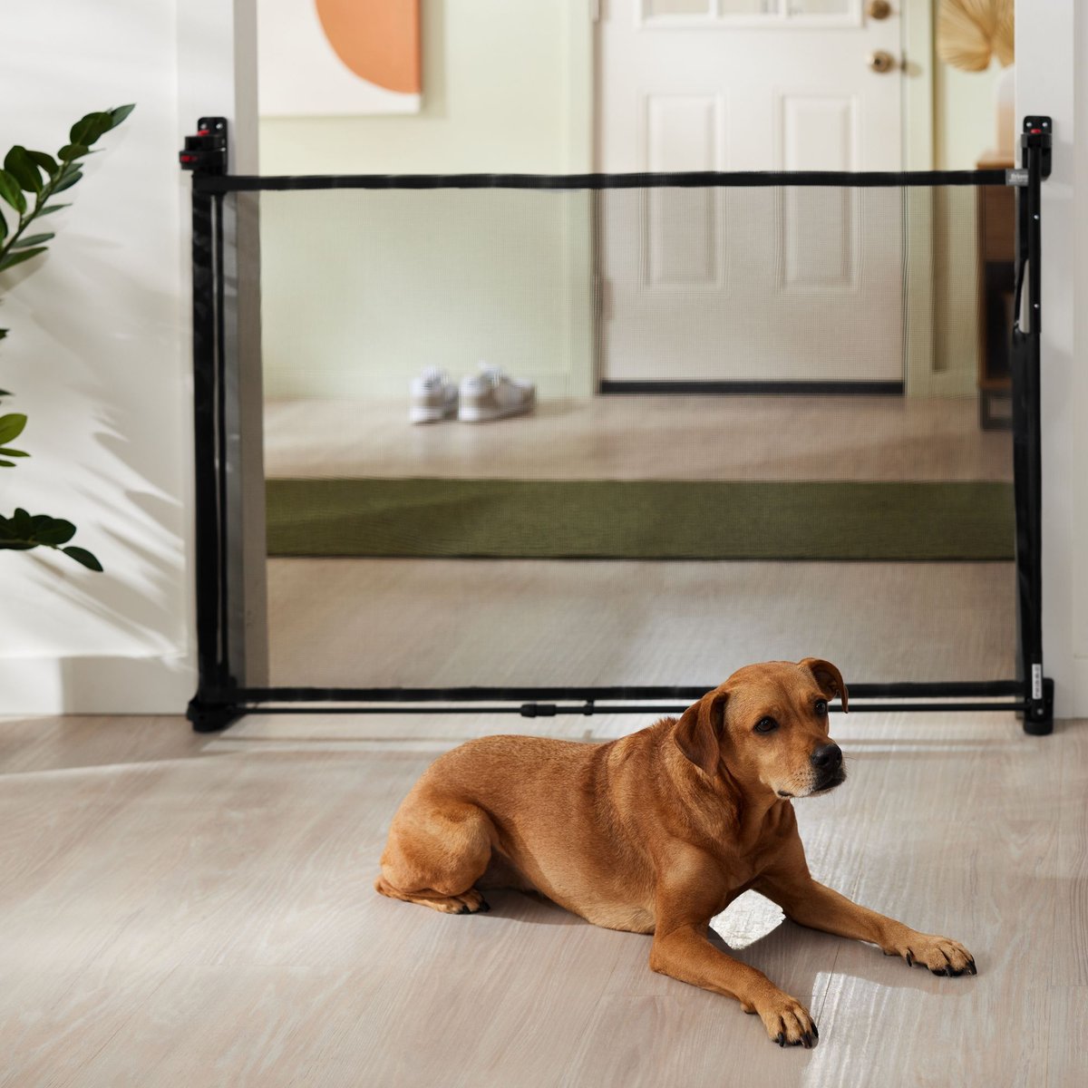 Retractable mesh sale pet gate