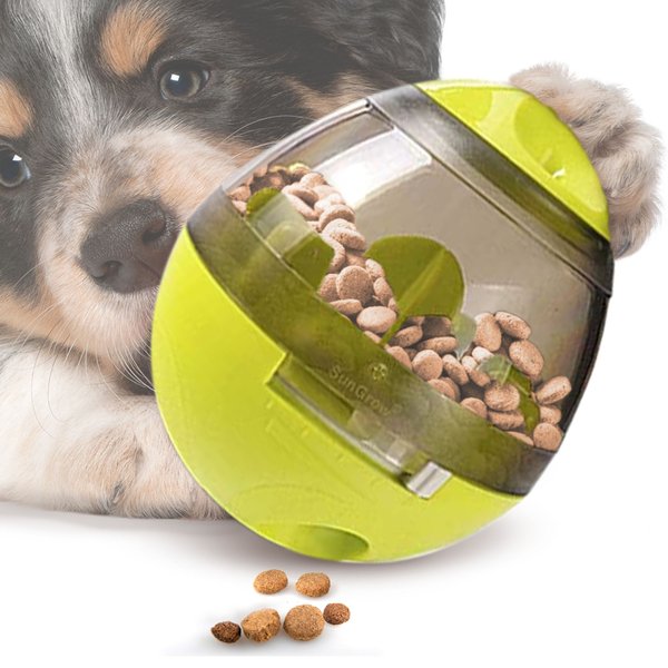 Blueberry Pet Spiky Ball Dog Chew Toy and Treat Dispenser
