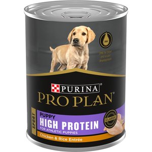 Could Your Dog Benefit From a High Protein Dog Food BeChewy