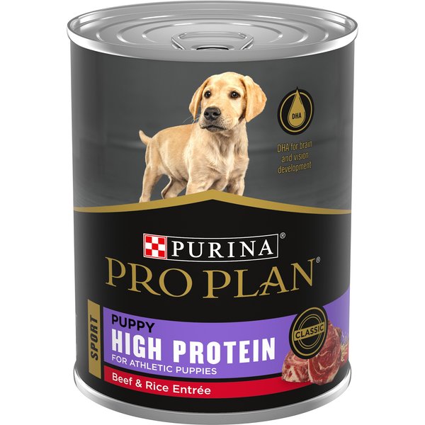 10 Best Wet Puppy Foods 2024 According to Reviews Chewy