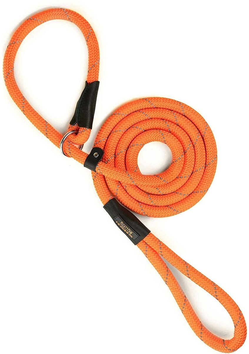 MIGHTY PAW Slip Rope Dog Leash