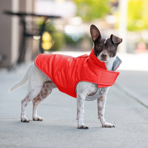 KURGO Loft Reversible Insulated Dog Quilted Coat, Chili Red & Charcoal