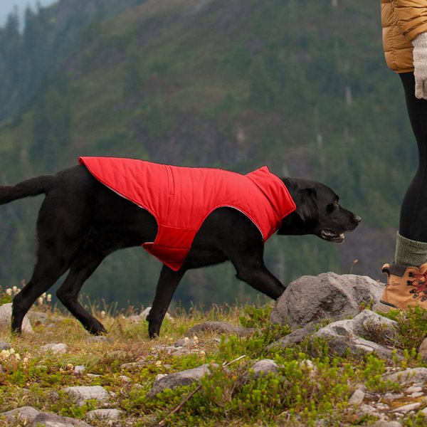FurHaven Reversible Reflective Puffer Dog Coat, Red, X-Large slide 1 of 9
