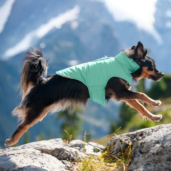 KURGO Loft Reversible Insulated Dog Quilted Coat, Chili Red & Charcoal