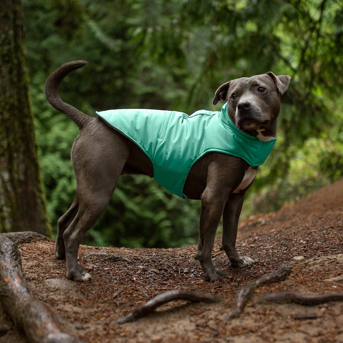 FURHAVEN Reversible Reflective Puffer Dog Coat, Mint, Medium