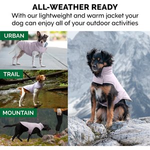 FurHaven Reversible Reflective Puffer Dog Coat, Lavender, X-Small