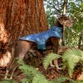 FurHaven Reversible Reflective Puffer Dog Coat, Blue Watercolor