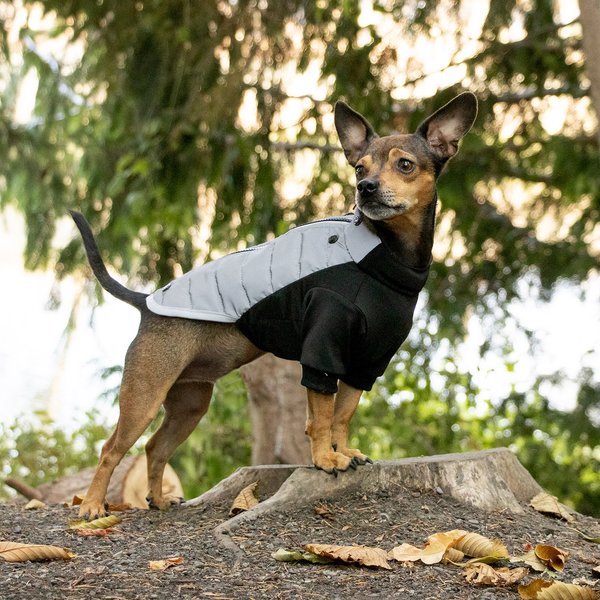 FurHaven Pro-Fit Dog Coat, Chrome, X-Small slide 1 of 9