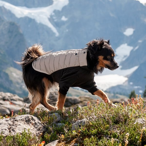 FurHaven Pro-Fit Dog Coat, Chrome slide 1 of 9