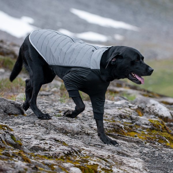 FurHaven Pro-Fit Dog Coat, Chrome slide 1 of 9