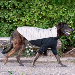 FurHaven Pro-Fit Dog Coat, Chrome