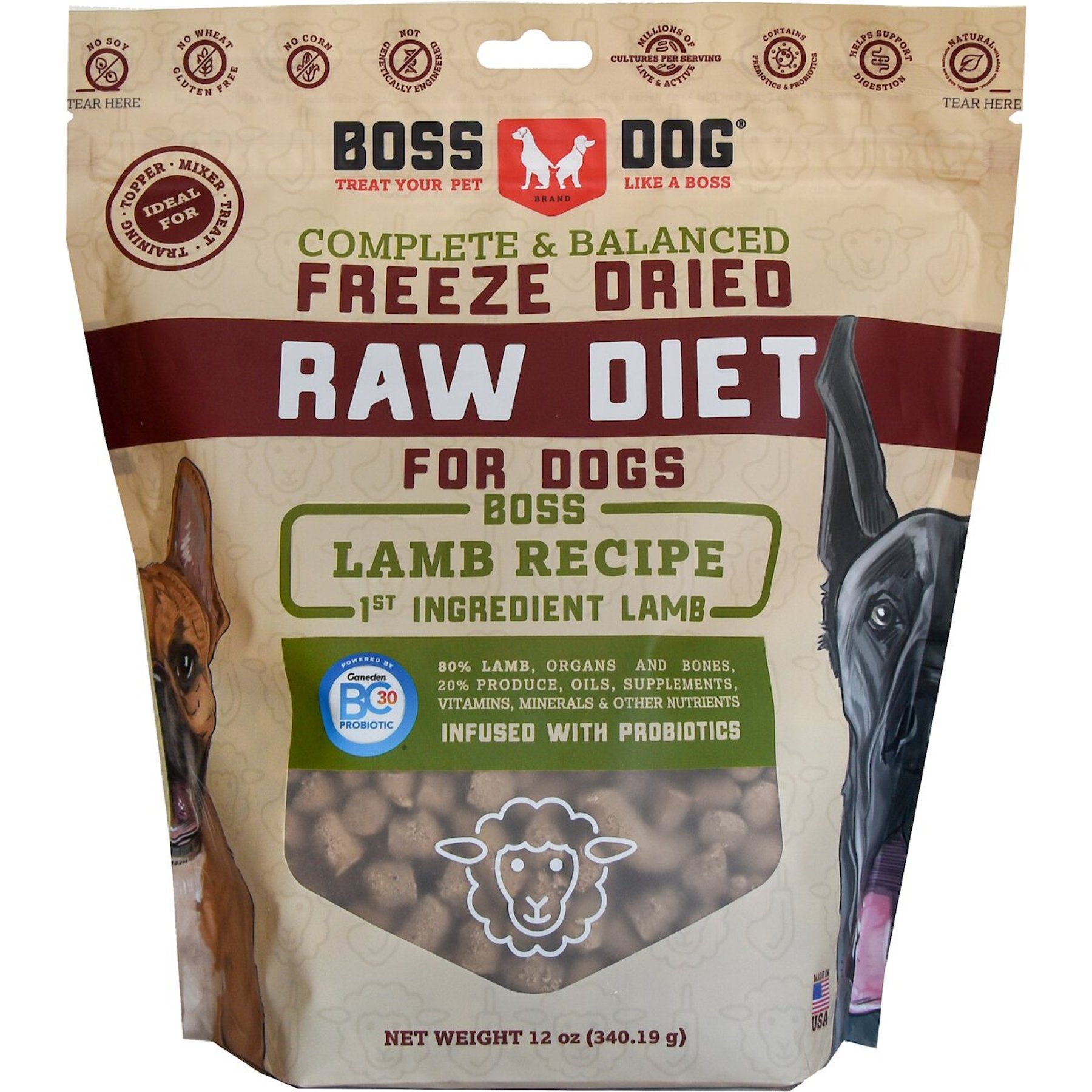 Balanced raw diet for dogs best sale