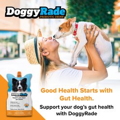 Tonisity DoggyRade Prebiotic Chicken Flavored Digestive Supplement for Dogs, 250-ml pouch, pack of 3 slide 2 of 2