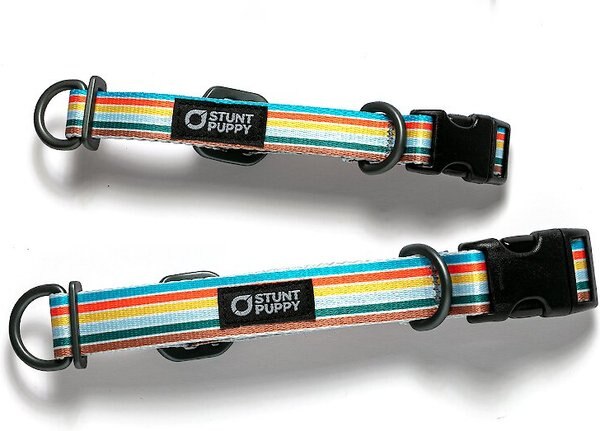 Stunt Puppy Sunset Dog Collar