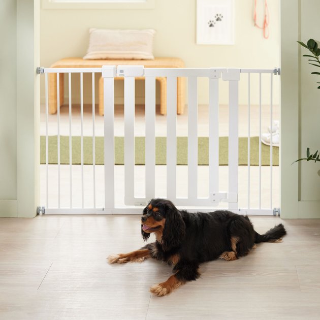 FRISCO Wood & Metal Extra Wide Auto-close Dog Gate, 30-in, Alabaster ...