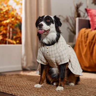 Show full view: Frisco Tweed Weave Ruffle Skirt Dog & Cat Dress, X-Small slide 6 of 9