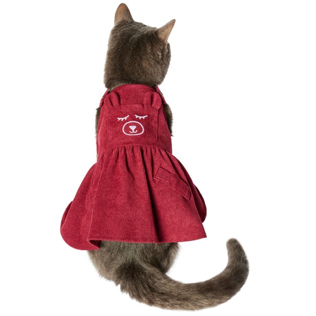 Frisco Sleepy Face Dog & Cat Dress