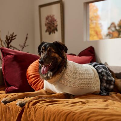 Show full view: Frisco Plaid Dog & Cat Sweater Dress, XX-Large slide 6 of 9