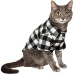 cat in plaid shirt