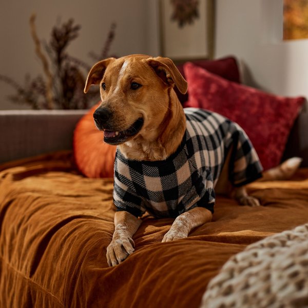 Frisco Plaid Dog & Cat Fleece Pajamas