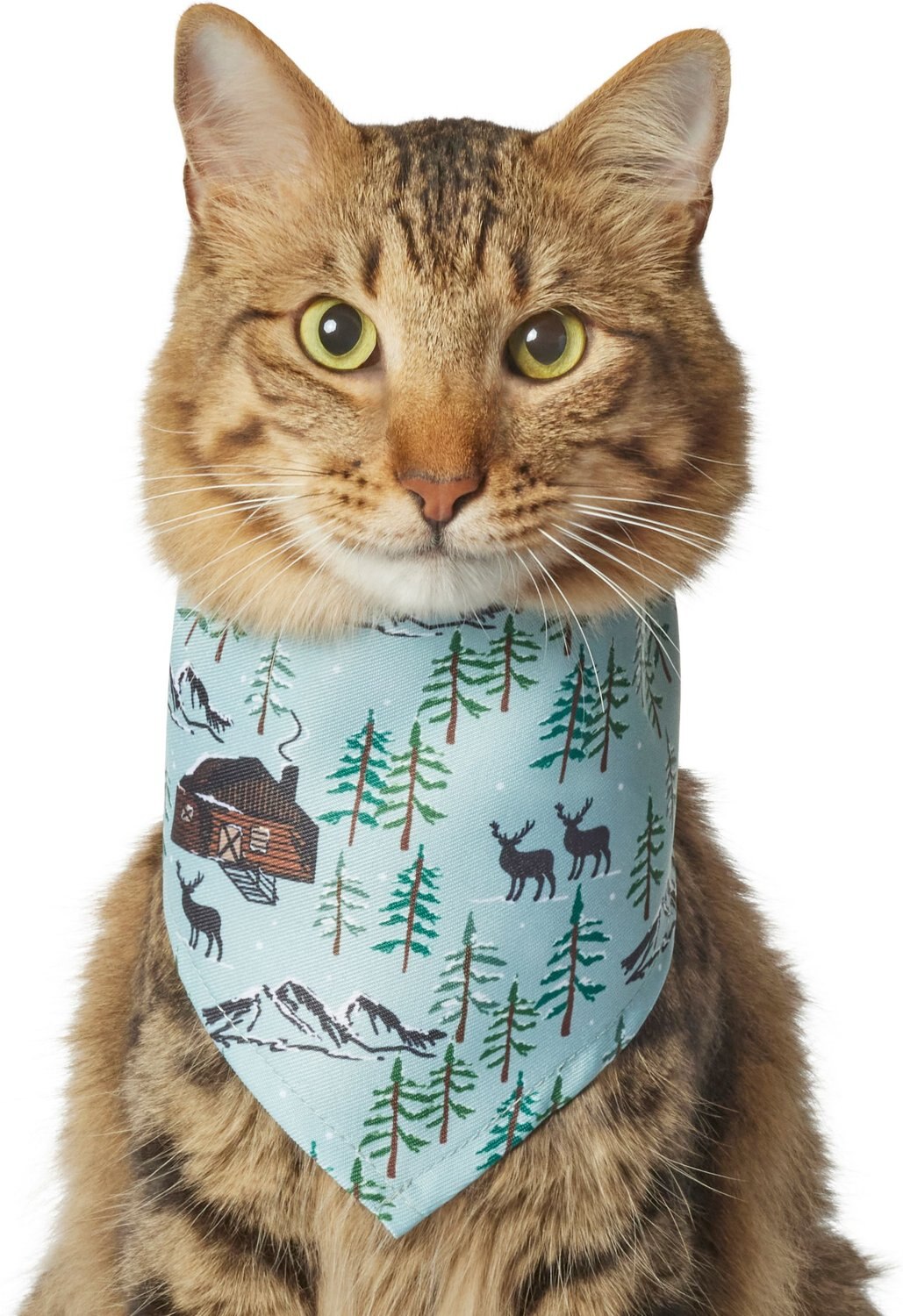 Frisco Moose Lodge Dog & Cat Bandana