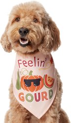 Frisco Feelin' Gourd Dog & Cat Bandana, Medium/Large