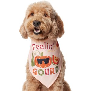 Frisco Feelin' Gourd Dog & Cat Bandana, Medium/Large