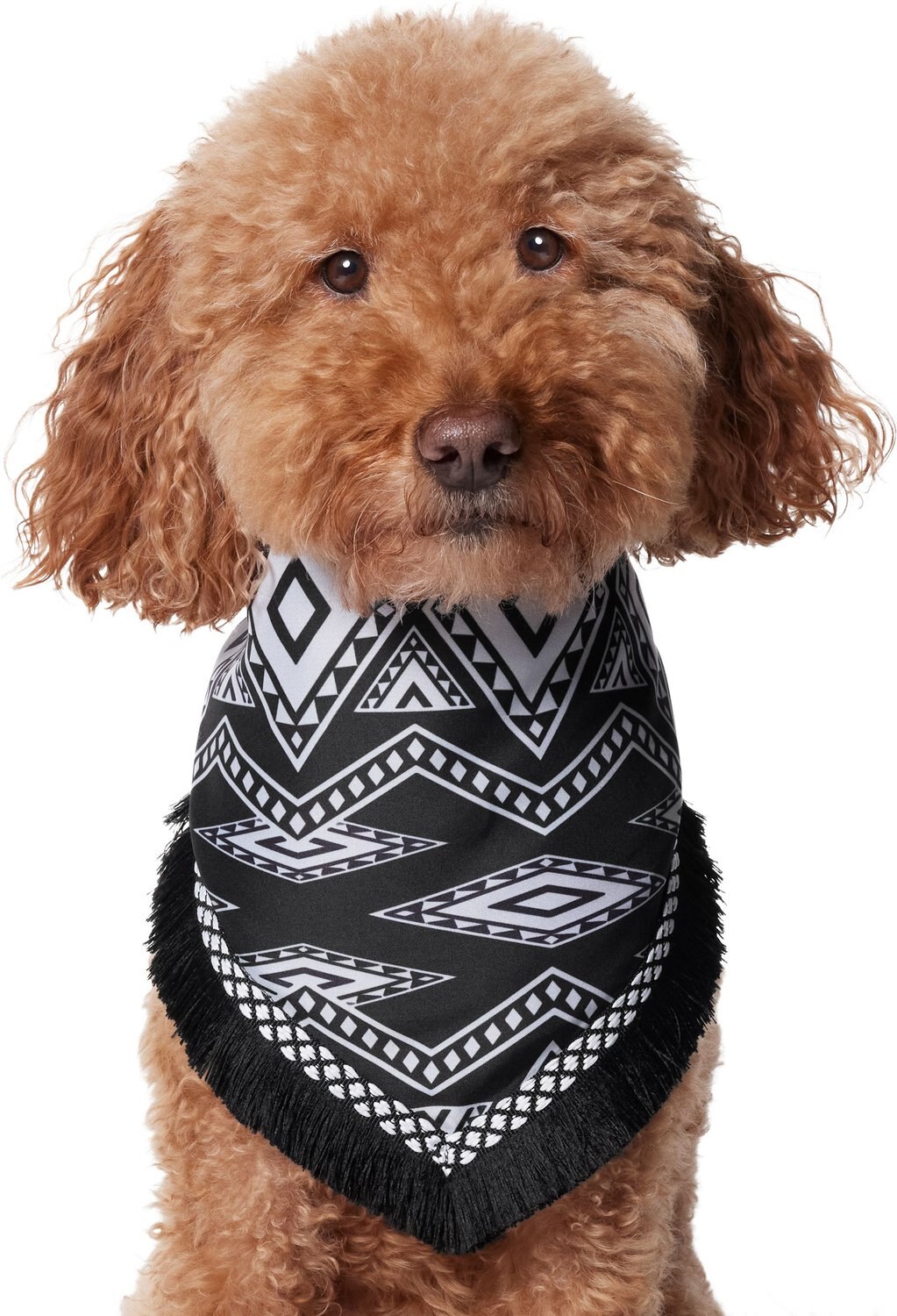 Frisco Southwest Fringe Dog & Cat Bandana