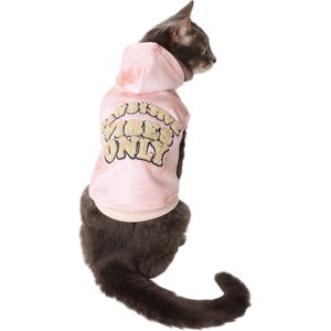Frisco Pawsitive Vibes Only Dog & Cat Hoodie, X-Small