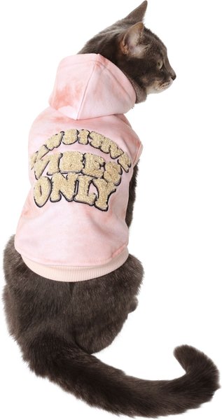 Frisco Pawsitive Vibes Only Dog & Cat Hoodie, Small slide 1 of 9