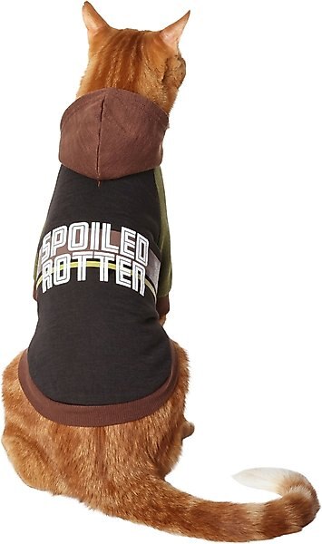 Frisco Spoiled Rotten Dog & Cat Hoodie, Small slide 1 of 9