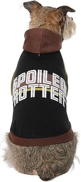 Frisco Spoiled Rotten Dog & Cat Hoodie, Large slide 1 of 8