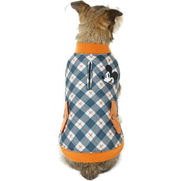 FRISCO Lightweight Insulated Bomber Dog & Cat Jacket, Olive, XLarge