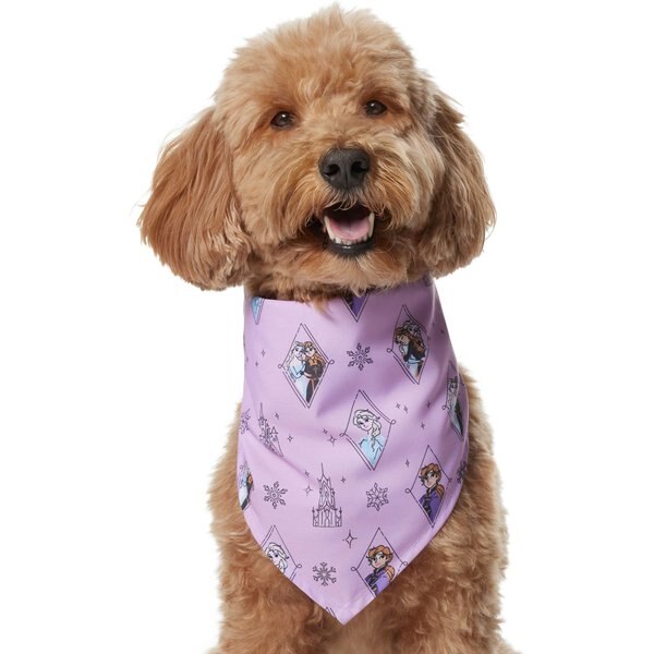 Frisco Fa La La Dog & Cat Bandana