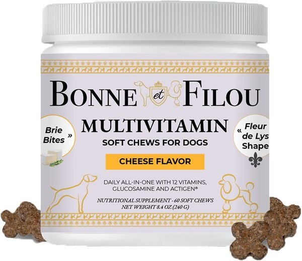 Bonne et Filou 12 in 1 Multivitamin Soft Chews Dog Supplement, 60 count slide 1 of 12